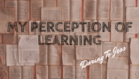 perception-learning-dtj-cover